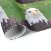 Eyes of a Bald Eagle Cadeaupapier (Rol Hoek)