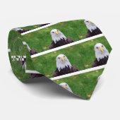 Eyes of a Bald Eagle Stropdas (Opgerold)