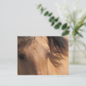 Eyes of a Brown Horse Briefkaart (Staand voorkant)