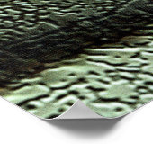  Eyes of Bud Poster (Hoek)