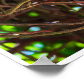 Eyes of the Night: Great Horned Owl Poster (Hoek)