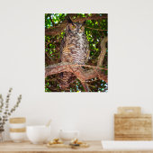 Eyes of the Night: Great Horned Owl Poster (Keuken)
