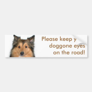 Eyes on the Road Dog Bumpersticker