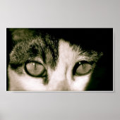 Eyes Poster (Voorkant)