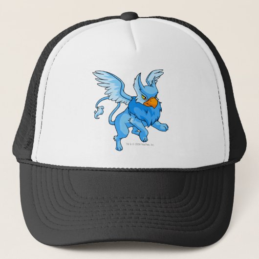 Eyrie Blue Trucker Pet (Voorkant)
