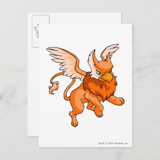 Eyrie Sinaasappel Briefkaart (Voorkant / Achterkant)