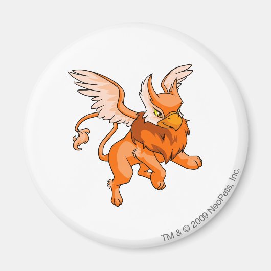 Eyrie Sinaasappel Magneet (Voorkant)