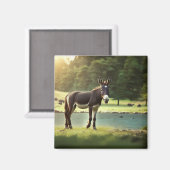 Ezel, Asinus, Jackass, Mule, Burro, WildAss Magneet (Voorkant / Achterkant)
