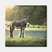 Ezel, Asinus, Jackass, Mule, Burro, WildAss Magneet (Voorkant)