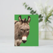 ezel briefkaart (Staand voorkant)