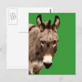 ezel briefkaart (Voorkant / Achterkant)