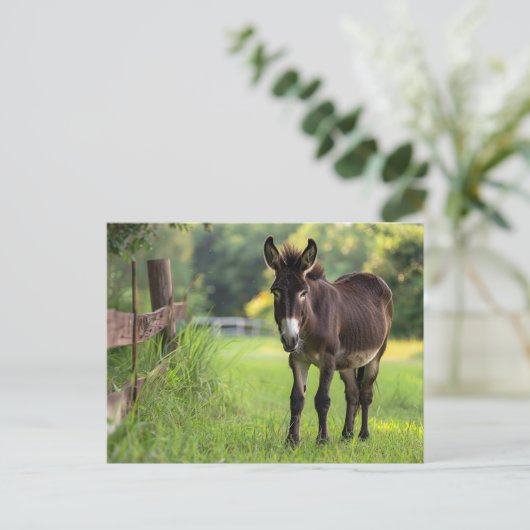 Ezel Briefkaart (Staand voorkant)