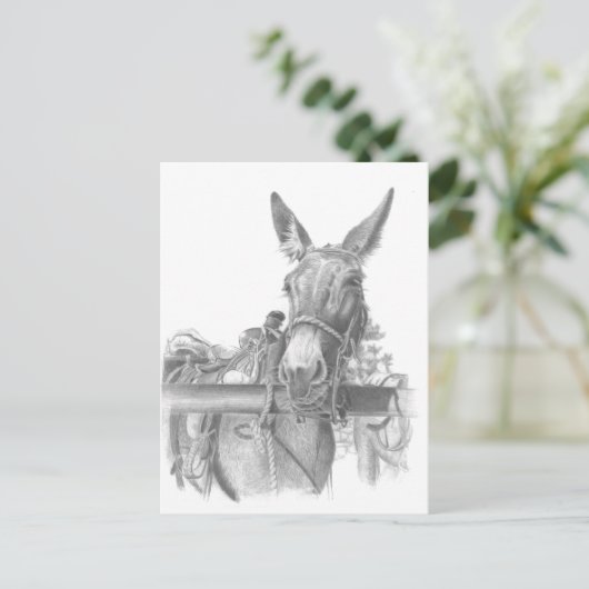 ezel briefkaart (Staand voorkant)