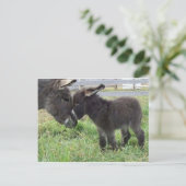 ezel briefkaart (Staand voorkant)