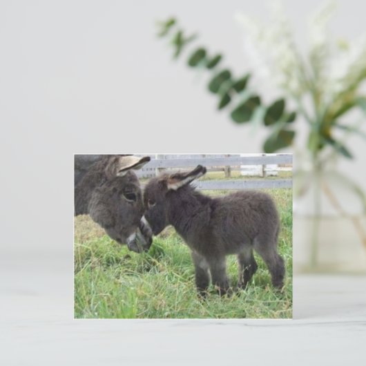 ezel briefkaart (Staand voorkant)