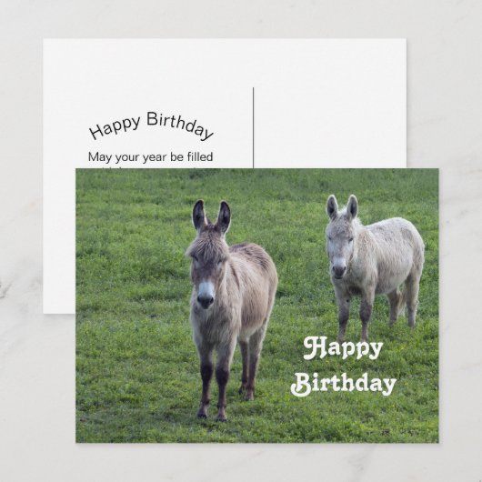 Ezel Bruin Taan Dier Foto Verjaardag Briefkaart (Voorkant / Achterkant)