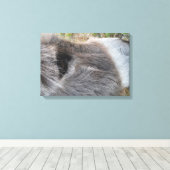 Ezel Close - Omhoog van Gezicht Canvas Afdruk (Insitu (Houten vloer))