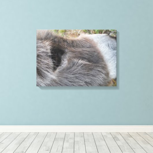 Ezel Close - Omhoog van Gezicht Canvas Afdruk (Insitu (Houten vloer))