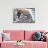 Ezel Close - Omhoog van Gezicht Canvas Afdruk (Insitu (Woonkamer))