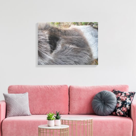 Ezel Close - Omhoog van Gezicht Canvas Afdruk (Insitu (Woonkamer))