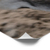 Ezel donkey  perfect poster (Hoek)