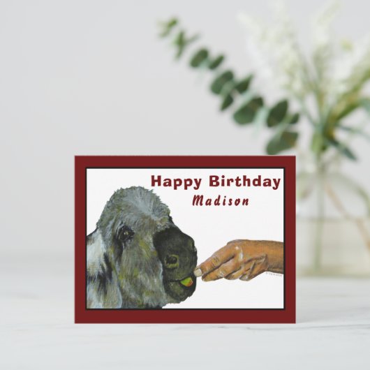 Ezel eet een appel Briefkaart (Staand voorkant)