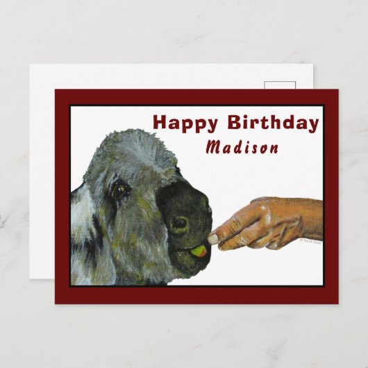 Ezel eet een appel Briefkaart (Voorkant / Achterkant)