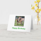 Ezel en Baby Kaart (Gele Bloem)