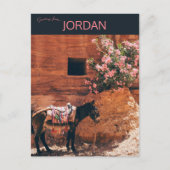 Ezel en bloemen in Wadi Musi Jordanië Briefkaart (Voorkant)