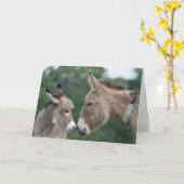 Ezel- en veulenkaart kaart (Gele Bloem)