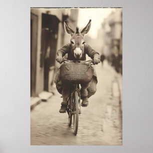Ezel fiets kunst grappig dier vintage foto poster