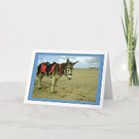 Ezel Foto Groeten Kaart