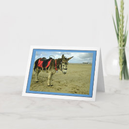 Ezel Foto Groeten Kaart