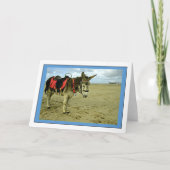 Ezel Foto Groeten Kaart (Voorkant)