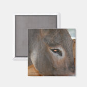 Ezel Gedachten Boerderij Dier Natuur Magnet (Voorkant / Achterkant)