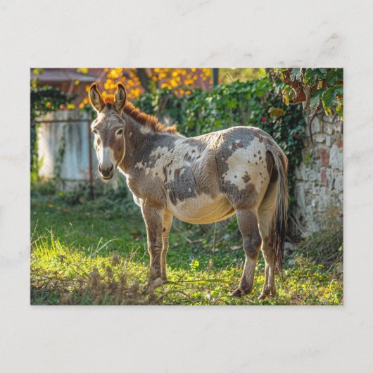 Ezel Gevlekte Ansichtkaart Briefkaart (Voorkant)