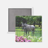 Ezel in de tuin magneet (Voorkant / Achterkant)