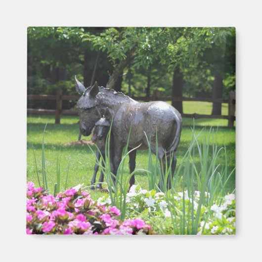 Ezel in de tuin magneet (Voorkant)
