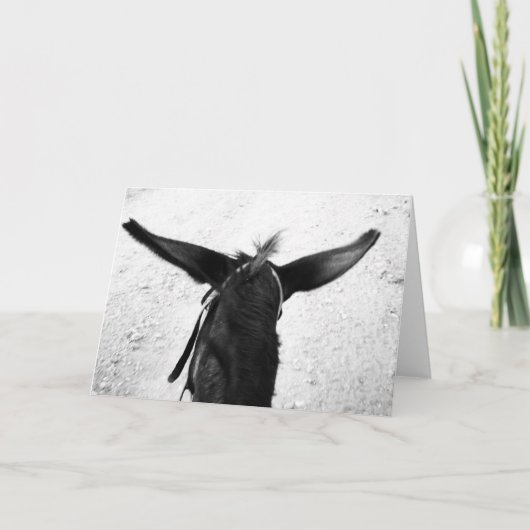 Ezel Kaart (Voorkant)