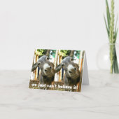 *EZEL KOPPEL IS GEWOON IN ONGELOOF * 50ste VERJAAR Kaart (Voorkant)