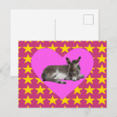 Ezel met sterren en harten briefkaart (Voorkant / Achterkant)