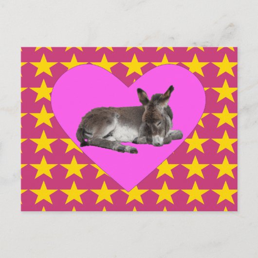 Ezel met sterren en harten briefkaart (Voorkant)