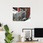 Ezel Muildier Boerderij Dier Land Bestemming Poster (Thuiskantoor)