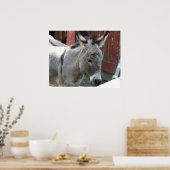 Ezel Muildier Boerderij Dier Land Bestemming Poster (Keuken)