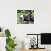 Ezel Muildier Boerderij Dier Land Bestemming Poster (Thuiskantoor)
