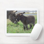 ezel muismat (Met muis)