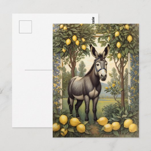  ezel onder de citroenbomen briefkaart (Voorkant / Achterkant)