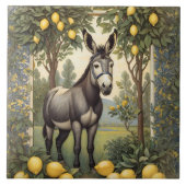  ezel onder de citroenbomen tegeltje (Voorkant)