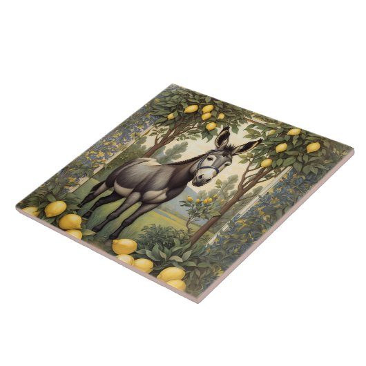  ezel onder de citroenbomen tegeltje (Zijkant)
