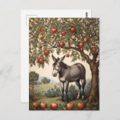  ezel onder een appelboom briefkaart (Voorkant / Achterkant)